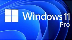 Windows 11